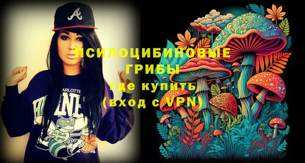 эйфоретик Бронницы