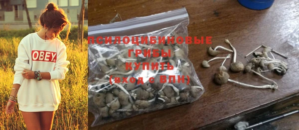 эйфоретик Бронницы